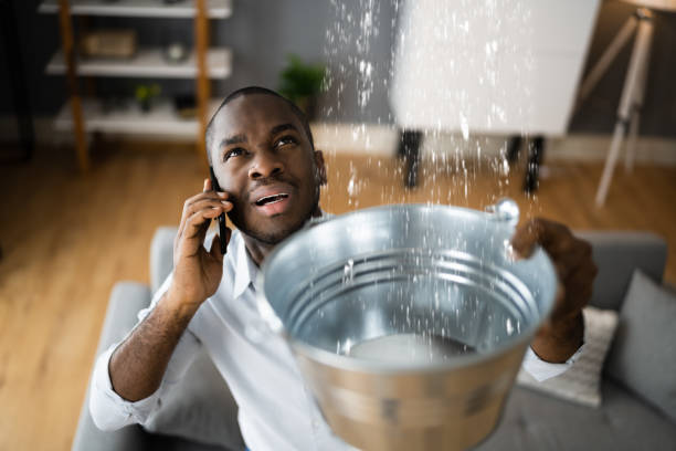 Best 24/7 water damage repair  in Ellsworth, ME