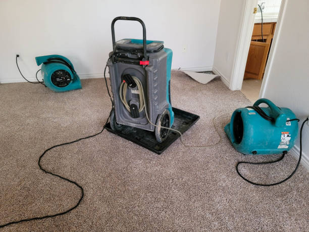 Best Water damage cleanup near me  in Ellsworth, ME