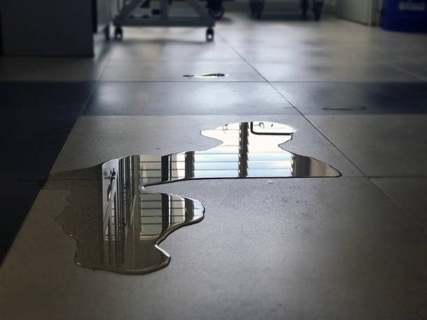 Best 24-hour water damage restoration  in Ellsworth, ME