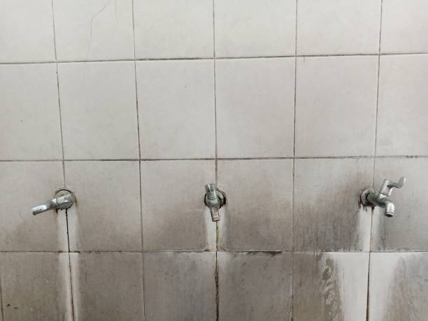 Best Basement water damage restoration  in Ellsworth, ME