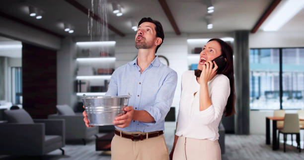 Best Water damage restoration near me  in Ellsworth, ME